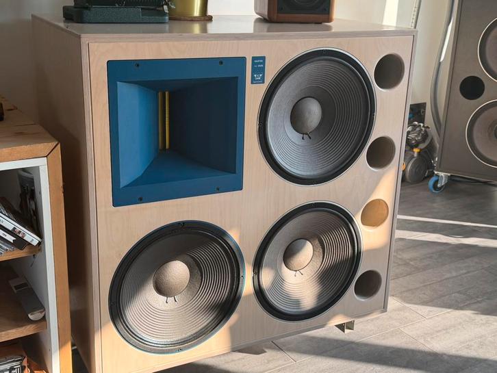 Stage Accompany 4549 studio monitors!!!, Audio, Tv en Foto, Luidsprekerboxen, Zo goed als nieuw, Front, Rear of Stereo speakers