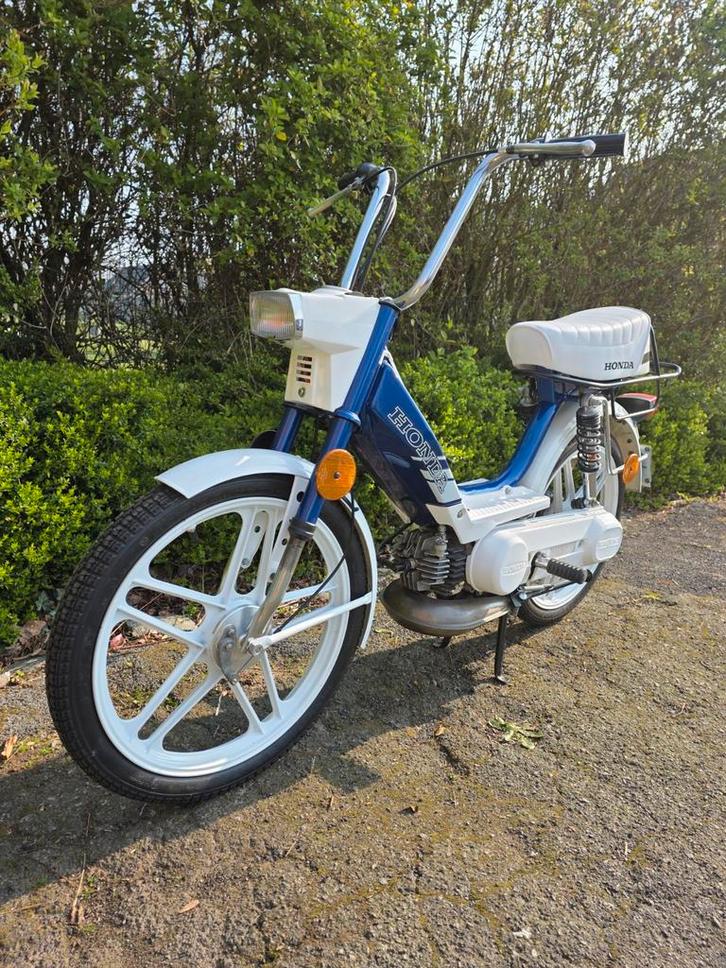 HONDA CAMINO, Vélos & Vélomoteurs, Cyclomoteurs | Tomos