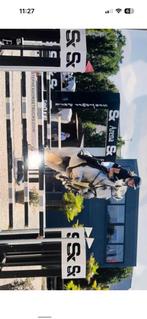 Spring merrie te koop, Dieren en Toebehoren, Merrie, Zadelmak, Met stamboom, 7 tot 10 jaar