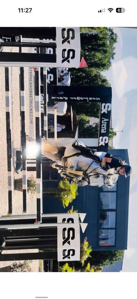 Spring merrie te koop, Animaux & Accessoires, Poneys, Jument, Débourré, 7 à 10 ans, Avec pedigree, Avec puce électronique, Vermifugé