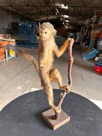 Aapje, Ophalen, Zo goed als nieuw