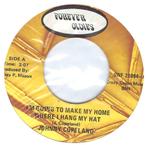 R&B 45: Johnny Copeland – I'm Going To Make My Home Where, Cd's en Dvd's, Vinyl | R&B en Soul, 1960 tot 1980, Gebruikt, Overige formaten