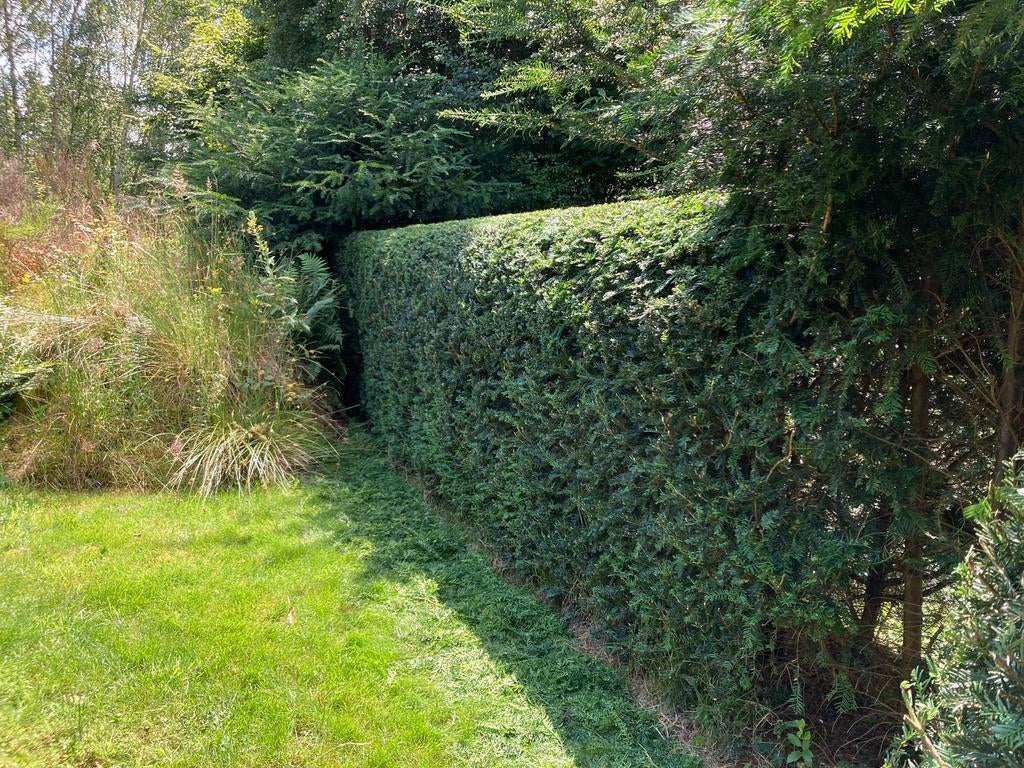 Tuinman/tuinwerken, Enlèvement