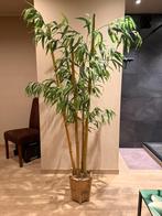 Kunstmatige bamboe, Ophalen, Zo goed als nieuw