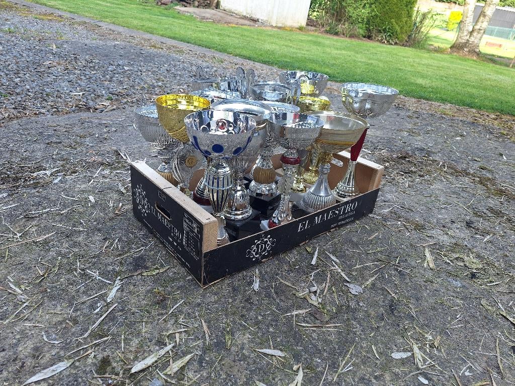 Trophee/ coupe, Sport en Fitness, Overige Sport en Fitness, Ophalen, Gebruikt
