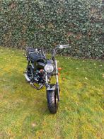 Zhenua Dax, Ophalen, Zo goed als nieuw