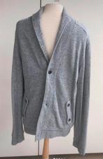 Gilet gris clair pour homme taille M, Vêtements | Hommes, Pulls & Vestes, Enlèvement ou Envoi, Porté, Taille 48/50 (M), Gris