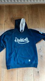 Hoodie maat 146/152, Ophalen, Zo goed als nieuw, Jongen, Trui of Vest