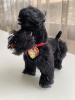 Vintage STEIFF poedel, Ophalen of Verzenden