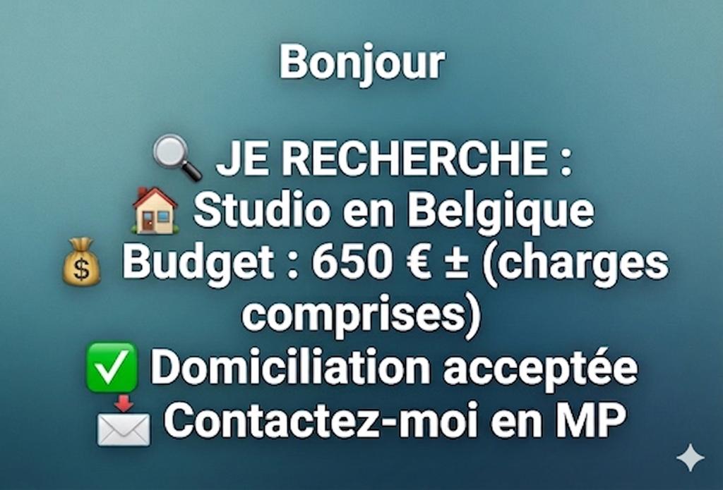 JE RECHERCHE STUDIO : TOUTE BELGIQUE (Wallonie/Flandre), Immo, Province de Hainaut