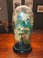 Globe met Bouquet 50*24cm, Ophalen