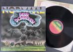 NORMAAL - Deurdonderen ( LP; NMINT ), Envoi, Comme neuf, 12 pouces, Rock