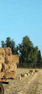 Kleine pakken hooi, Dieren en Toebehoren