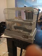 Hamsterkooi, Dieren en Toebehoren, Ophalen