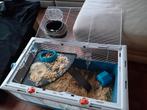 Hamster/muizen/ratten kooi, Dieren en Toebehoren, Ophalen, Zo goed als nieuw, Kooi, Hamster