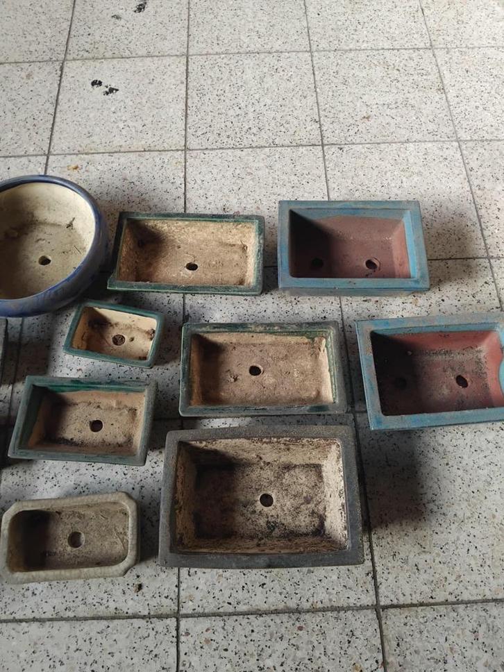 pots bonsai, Tuin en Terras, Bloempotten, Rond, Ophalen