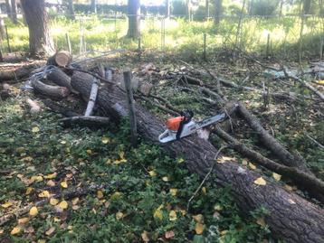 Tuinwerken  beschikbaar voor biedingen