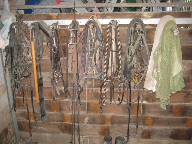 Heeeeeeeeel veel paardentuig zie fotos 100 euro alles samen, Dieren en Toebehoren, Paarden en Pony's | Hoofdstellen en Tuigage