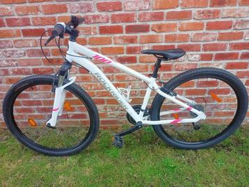 Mountainbike beschikbaar voor biedingen