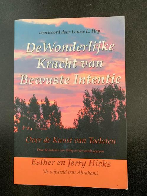 E. Hicks - De wonderlijke kracht van bewuste intentie, Livres, Ésotérisme & Spiritualité, Comme neuf, Autres types, Spiritualité en général