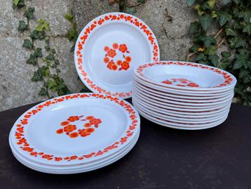 5 assiettes plates + 14 profondes vintage Arcopal Lotus