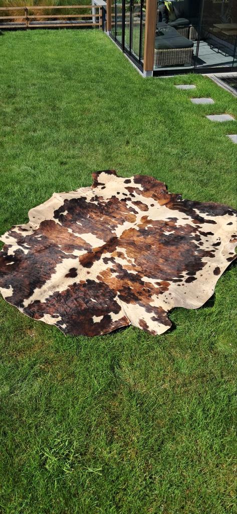 Koeienhuid - koeienvel, Antiek en Kunst, Antiek | Tapijten, Tafelkleden en Textiel, Ophalen