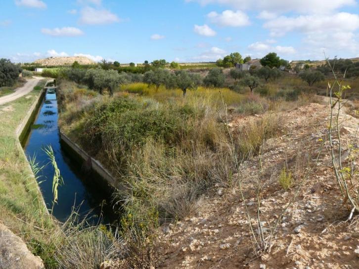 Finca in Caspe (Aragon, Spanje) - 1093, Immo, Buitenland, Spanje, Overige soorten, Landelijk