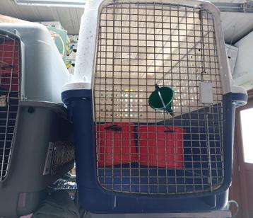 Zeer grote transportbox voor hond – 110 x 70 x 75 cm beschikbaar voor biedingen