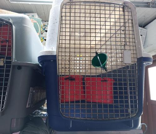 Zeer grote transportbox voor hond – 110 x 70 x 75 cm, Dieren en Toebehoren, Transportboxen, Gebruikt, Ophalen