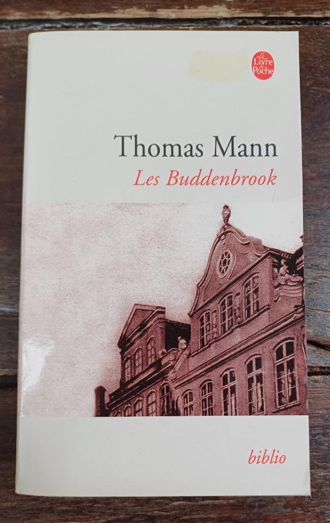 Thomas Mann, Les Buddenbrook, Le Déclin d'une Famille, Boeken, Literatuur, Gelezen, Ophalen of Verzenden
