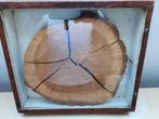 Vintage houten schijf van boom (eik) in kastje met glas., Ophalen, Gebruikt, 25 tot 50 mm, Eiken