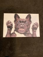 Franse bulldog canvas, Antiek en Kunst, Ophalen