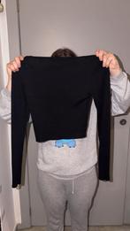 Petit pull noir, Kleding | Dames, Topjes, Ophalen of Verzenden, Zo goed als nieuw, Zwart