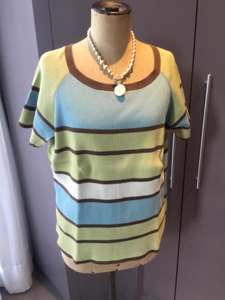 Gestreepte trui van Liz Claiborne, maat 2 (46/48), Kleding | Dames, T-shirts, Zo goed als nieuw, Maat 46/48 (XL) of groter, Korte mouw