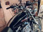 Harley-Davidson SPORTSTER XL1200C CUSTOM (bj 2009), Motoren, 2 cilinders, Bedrijf, Overig, 1200 cc