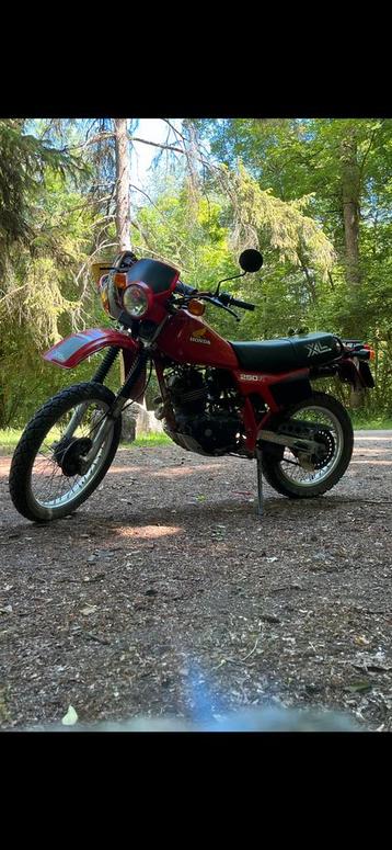 Honda XL 250 R 1983 beschikbaar voor biedingen