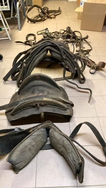 Trekpaarden getuig, Enlèvement ou Envoi, Utilisé, Autres espèces