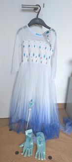 Frozen verkleedjurk, Enlèvement