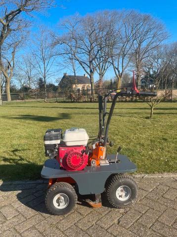 Graszodensnijder gazon snijder ibea zodensnijder, Tuin en Terras, Ophalen