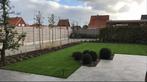 Graszoden op rol, zeer goede kwaliteit, Ophalen, Nieuw, 20 m² of meer, Gras