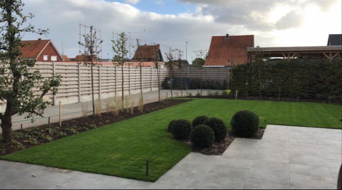 Graszoden op rol, zeer goede kwaliteit, Tuin en Terras, Gras en Kunstgras, Nieuw, Gras, 20 m² of meer, Ophalen