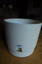 design italia objekt bloemenbak 1980, Ophalen