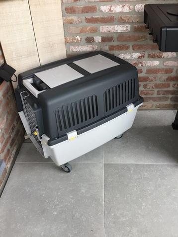 honden vervoerbench beschikbaar voor biedingen