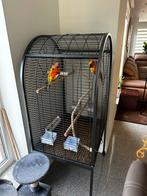 Vogelkooi groot, Ophalen, Zo goed als nieuw, Vogelkooi