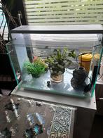 Aquarium Home 65,, Ophalen of Verzenden, Zo goed als nieuw