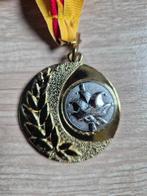 Carnaval medaille Ledeberg Prinses Sandra 2009 - 2010, Ophalen of Verzenden