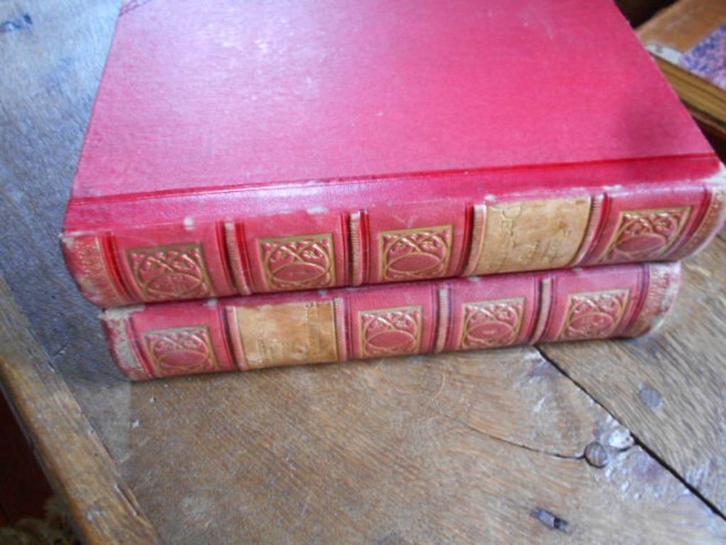 1866 - 1870 vie des savants illustres, Antiek en Kunst, Antiek | Boeken en Manuscripten, Ophalen of Verzenden