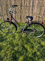 Norta, vélo pour femme, Enlèvement, Utilisé, Autres marques