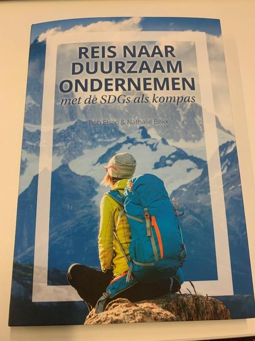 Reis naar duurzaam ondernemen, Livres, Économie, Management & Marketing, Comme neuf, Enlèvement ou Envoi