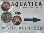 Verse bundels zuurstofplanten!  Vrijdagmiddag verse aanvoer, Tuin en Terras, Ophalen, Zo goed als nieuw